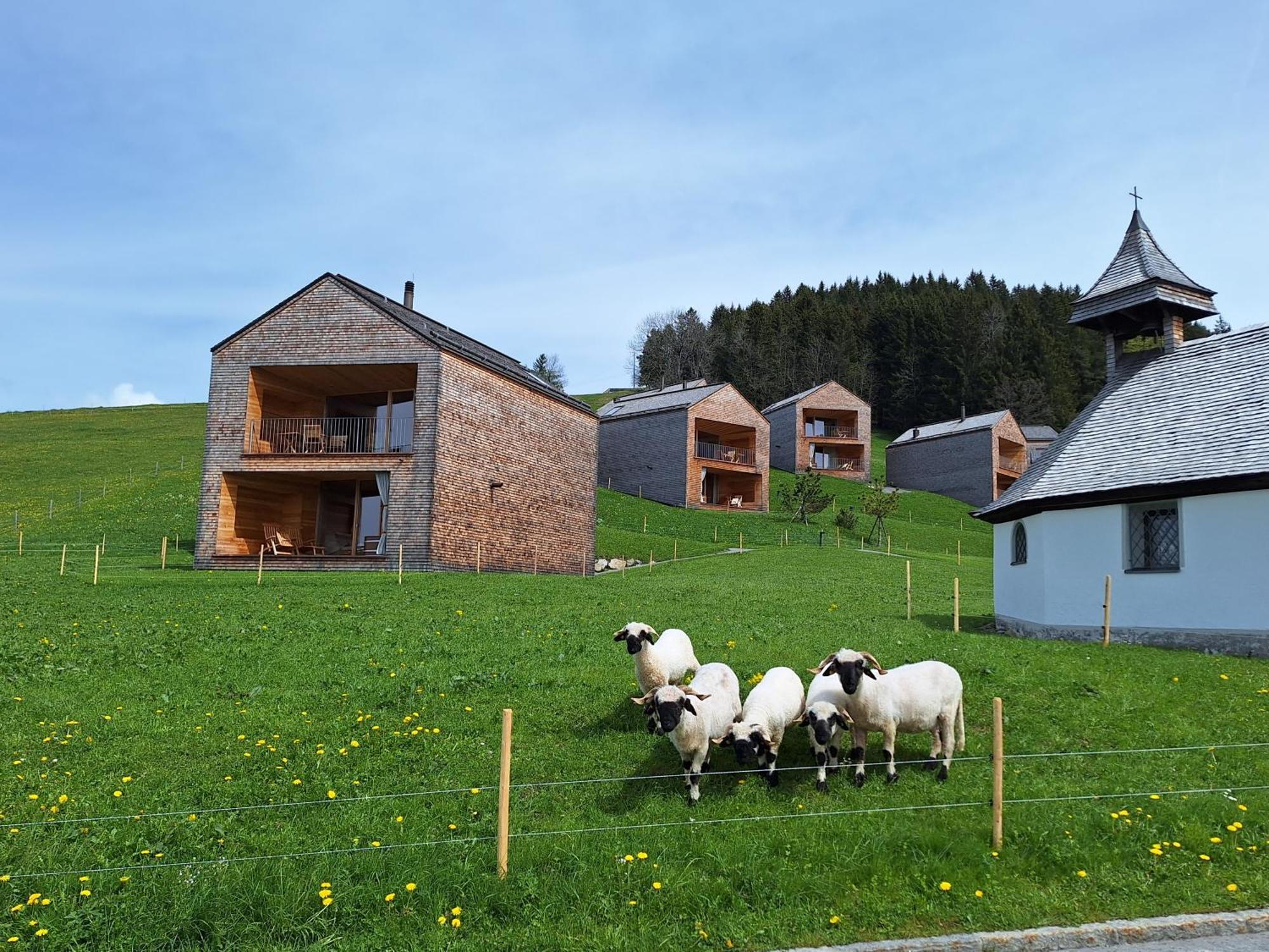Apartment Rheintal Im Alpenvorland Batschuns Extérieur photo