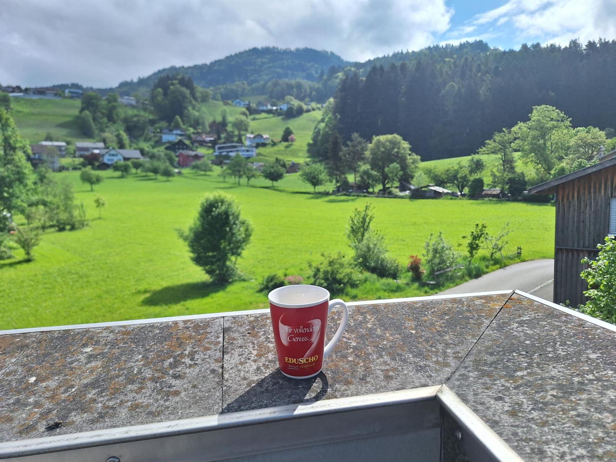 Apartment Rheintal Im Alpenvorland Batschuns Extérieur photo